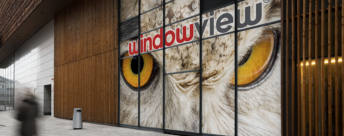 View of a owl vinyl on the side of building windows. 
